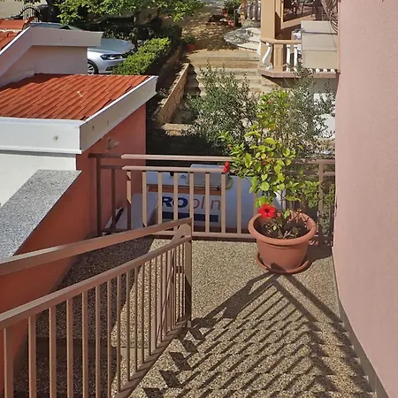 Pink In Only 200 M From The Sea