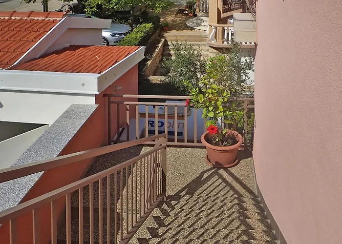 Pink In Only 200 M From The Sea