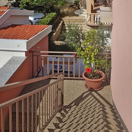 Pink In Only 200 M From The Sea